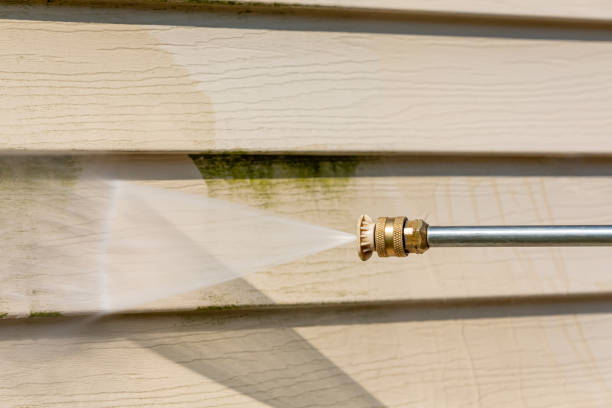 Best Affordable Power Washing  in Richmond, MI